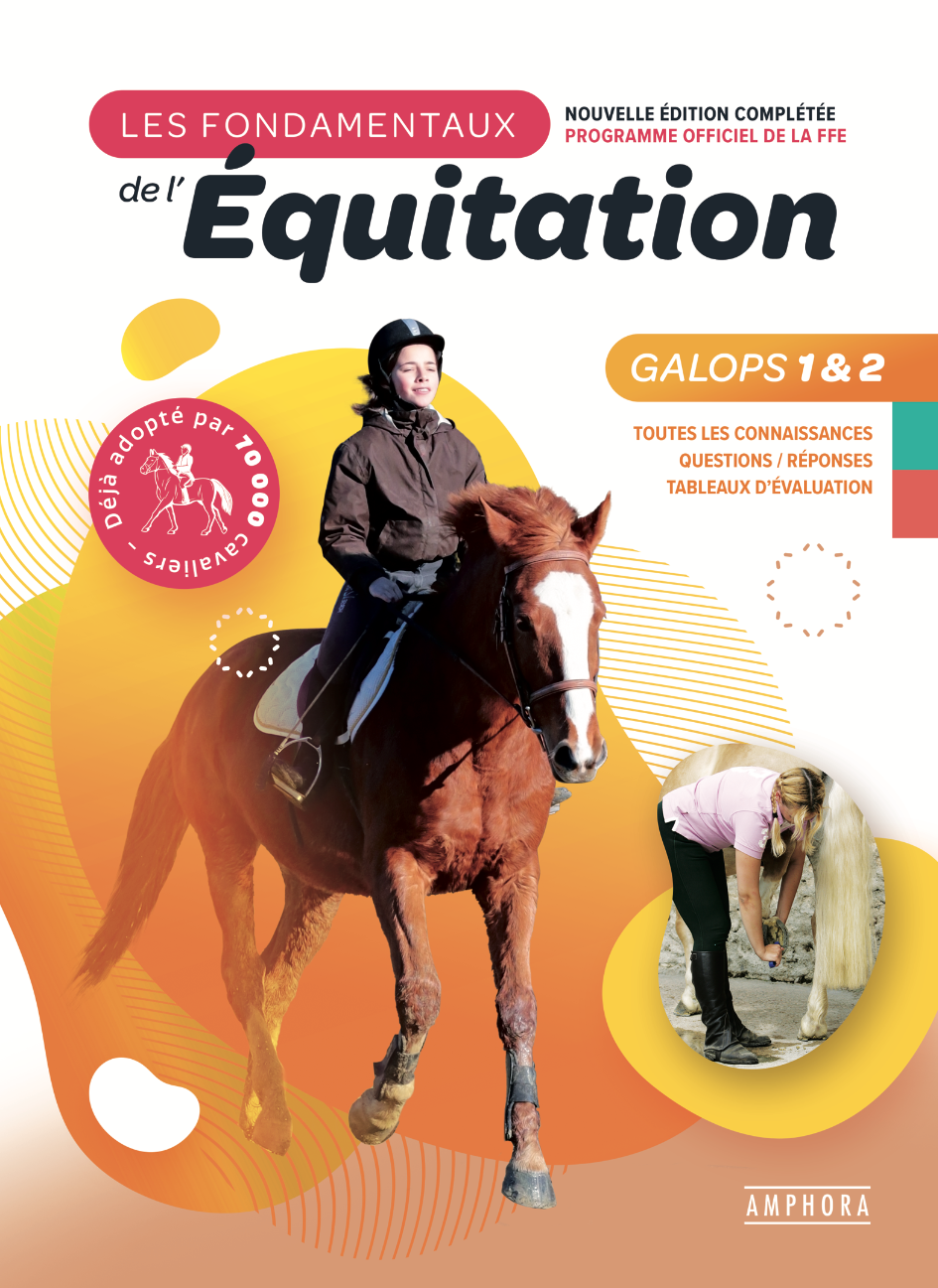 galop 2 - Équitation  Cheval, Galop 2, Galop
